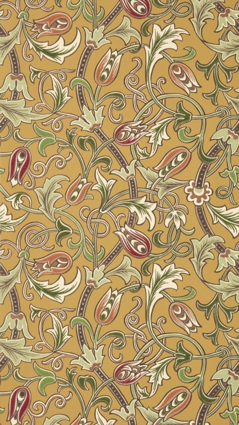 Image de Coloration Daisy & Oak Sage/Forest - MUNW217585 - 07894-01