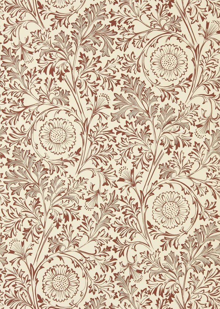 Image de St Johns Border Sussex Rush - MUNW217611