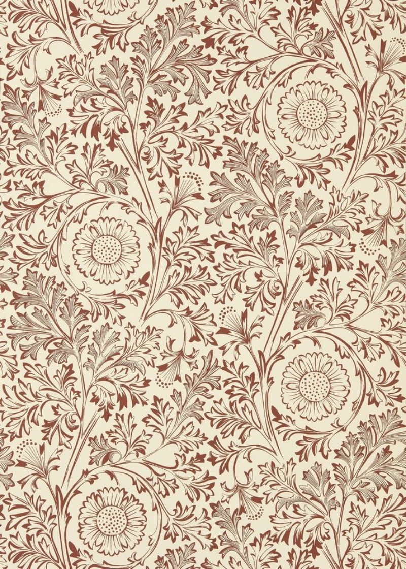 Bild von Farbe St Johns Border Sussex Rush - MUNW217611 - 07917-01