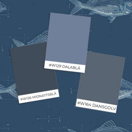 Dažas Amund Blue - 1097501-01 - 07923-01 paveikslėlis
