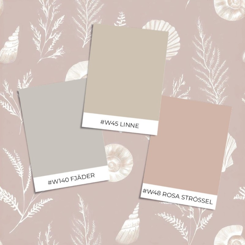Immagine di Stile campione - Klara Pink - 1097601-03 Immagine di Stile campione - Klara Pink - 1097601-03