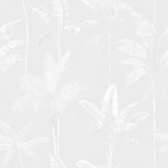 Image de Amboseli White - 1098401-03