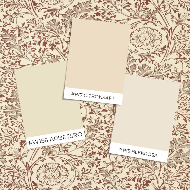 Coloring Chamomile Flax/Madder - MUNW217587 - 07896-01 paint Morris & Co