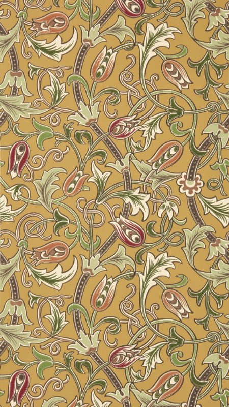 Coloring Scrolling Tulip Gold - MUNW217564 - 07873-01 paint Morris & Co
