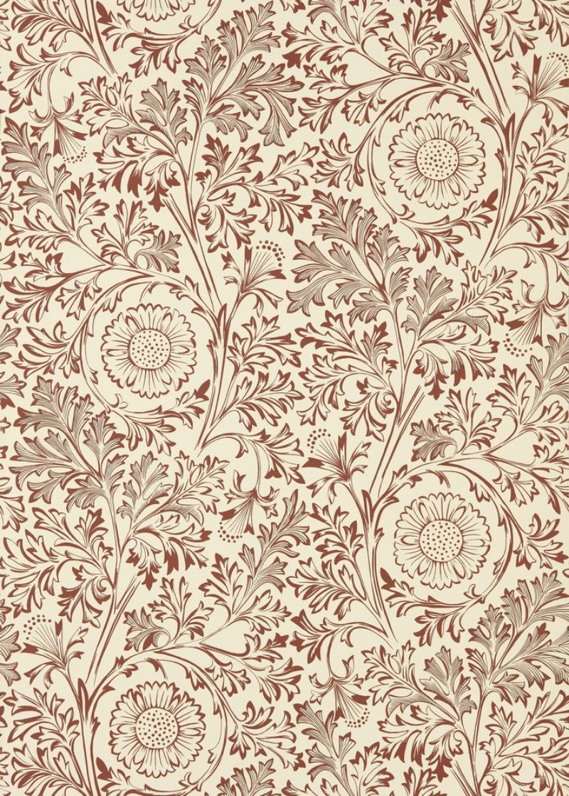 Coloring Chamomile Flax/Madder - MUNW217587 - 07896-01 paint Morris & Co
