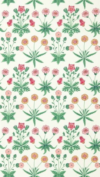 Daisy Strawberry Fields - AARC510005 wallpaper 