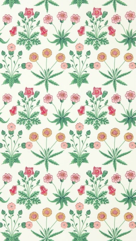 Daisy Strawberry Fields - AARC510005 wallpaper 