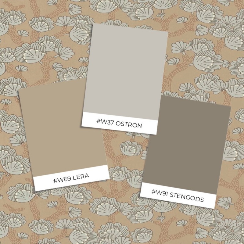 Imagen de Pintura Beachy Breeze Milky coconut brown - 165-04 - 08002-01 Imagen de Pintura Beachy Breeze Milky coconut brown - 165-04 - 08002-01