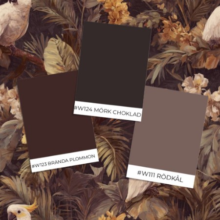 Picture of Farvesammensætning Bahia Brown - 1099301-02 - 08055-01