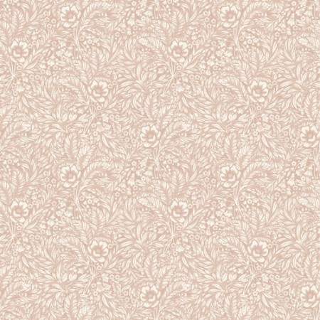 Picture of Emma Rosa - 430-03