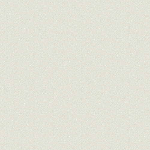 Image de Edvin Grå - 432-02