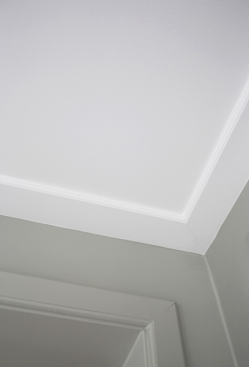 Traditional white ceiling paint (1,0L) paint Wallpassion