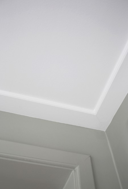 Traditional white ceiling paint (3,0L) paint Wallpassion