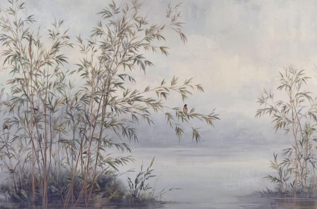 Image de Cao Lanh II