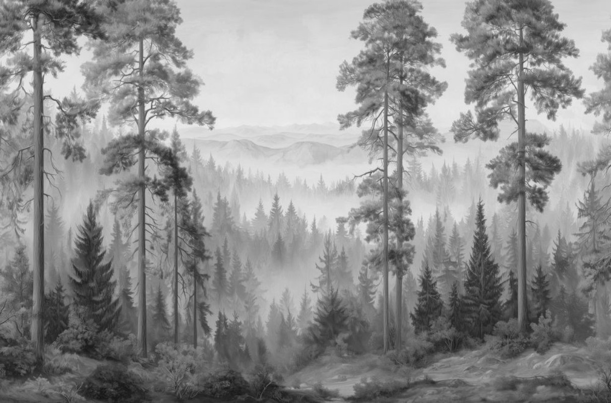 Picture of Foggy Morning III