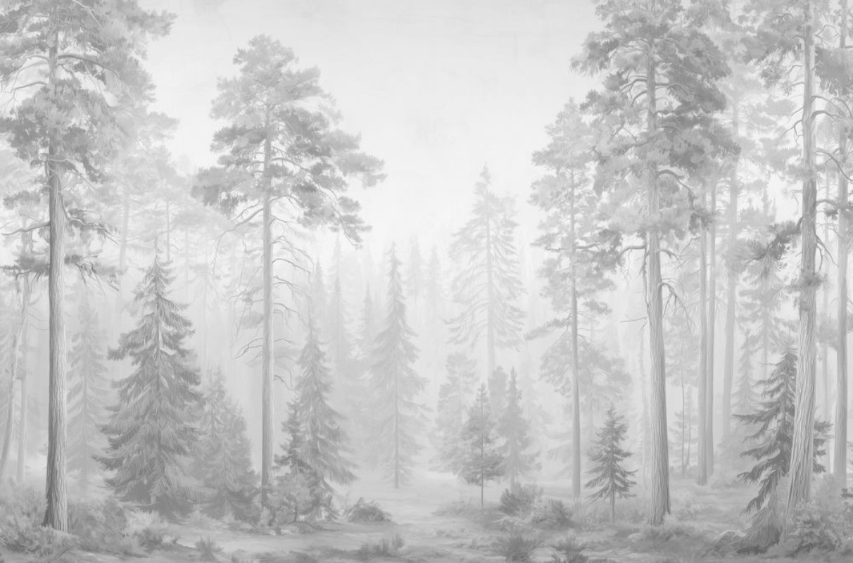 Picture of Early Morning I