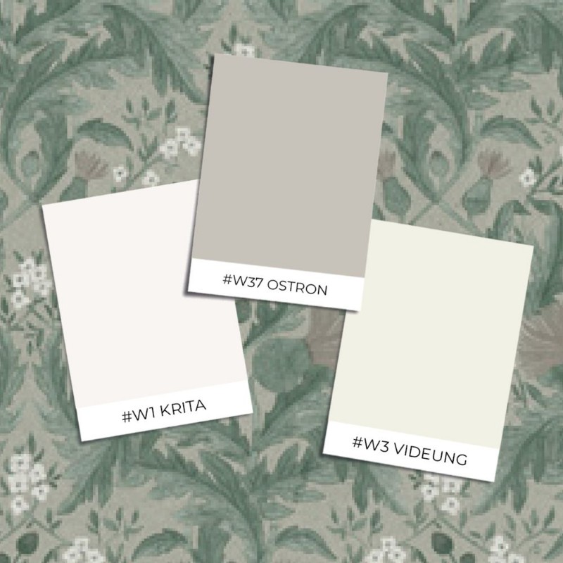 Coloring - Wilma T-001-00001-04 paint 