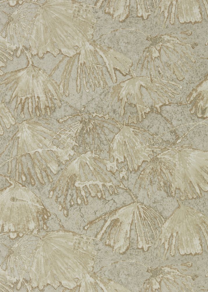 Iliad - ZKEM312634 wallpaper 