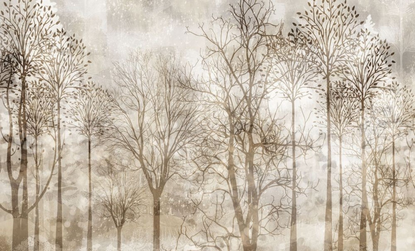 Bild på In My Dreams I