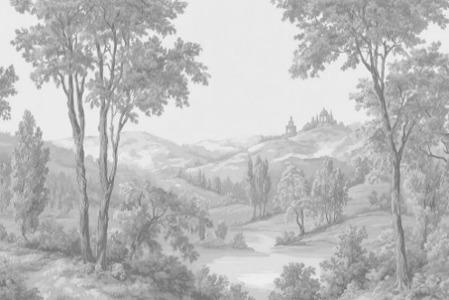 Picture of Silent View I