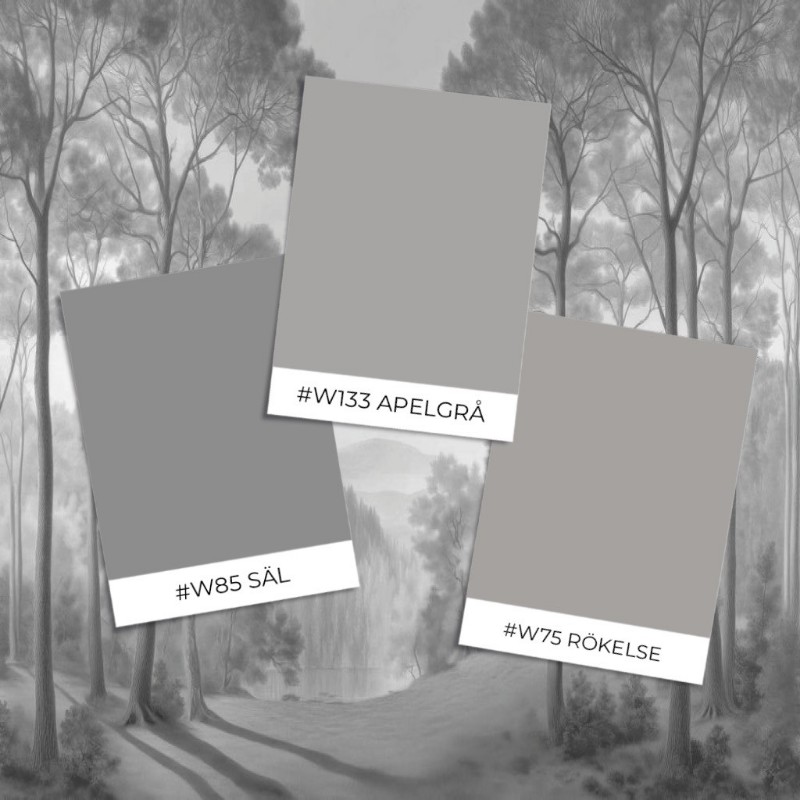 Picture of Farvesammensætning Morning  Forest I - 08240-01