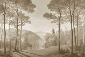 Imagen de Morning  Forest II