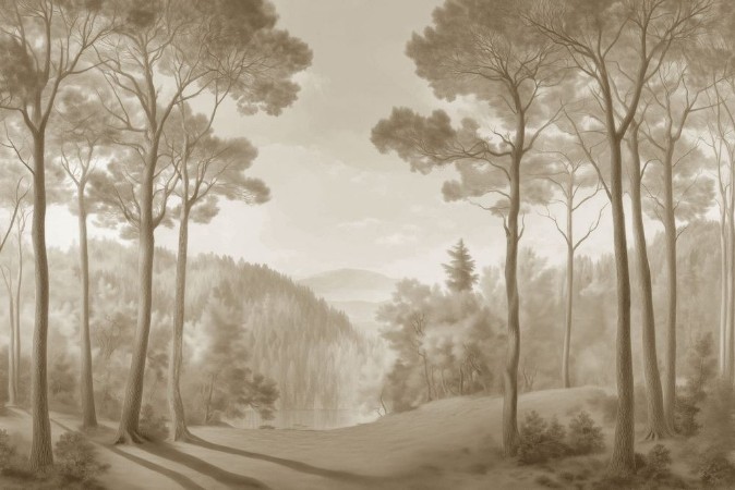 Picture of Morning  Forest II