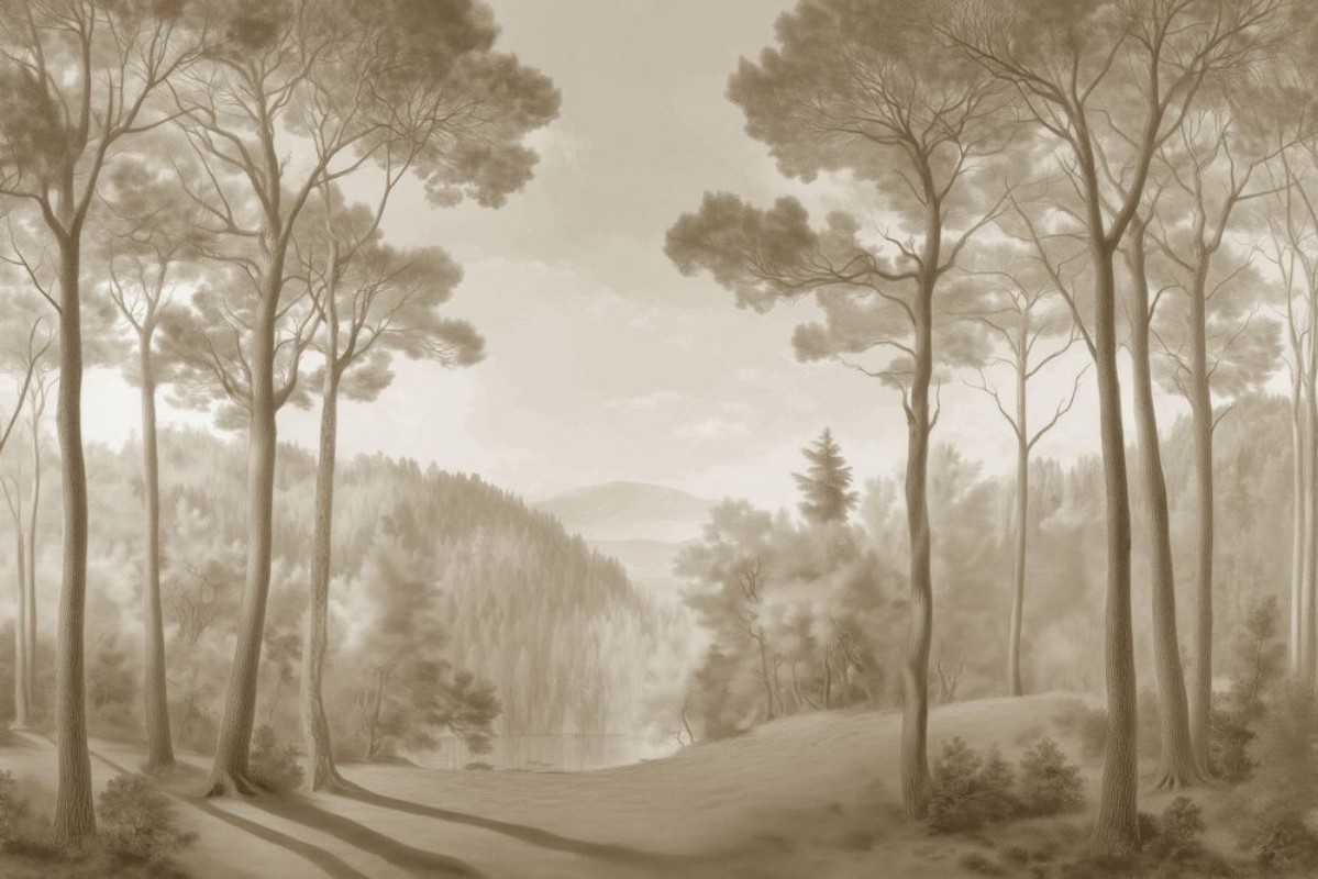 Picture of Morning  Forest II