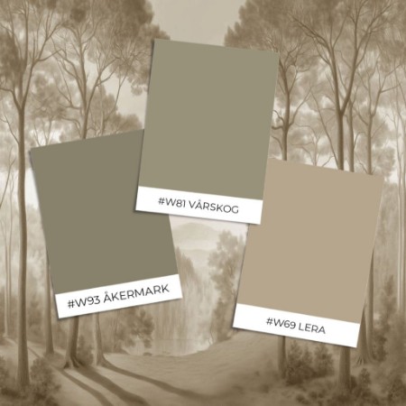 Afbeeldingen van Voorbeeld stijl - Morning  Forest II