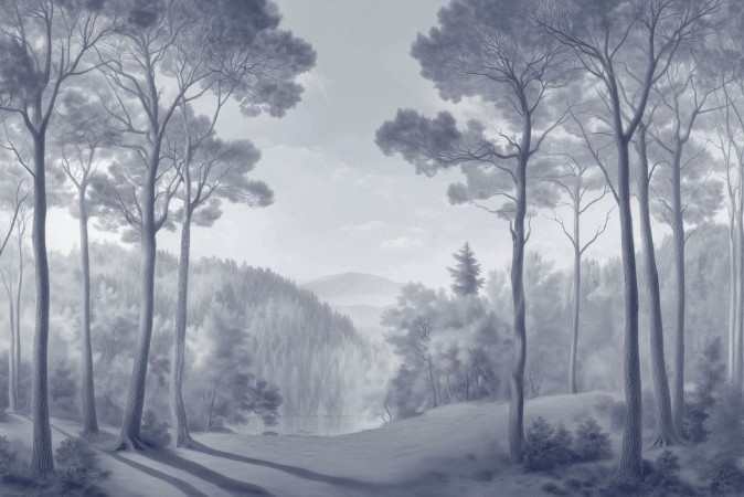 Picture of Morning  Forest III