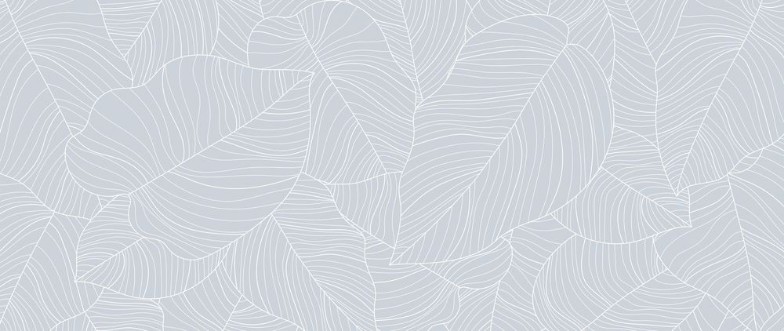 Picture of Light Leaves II