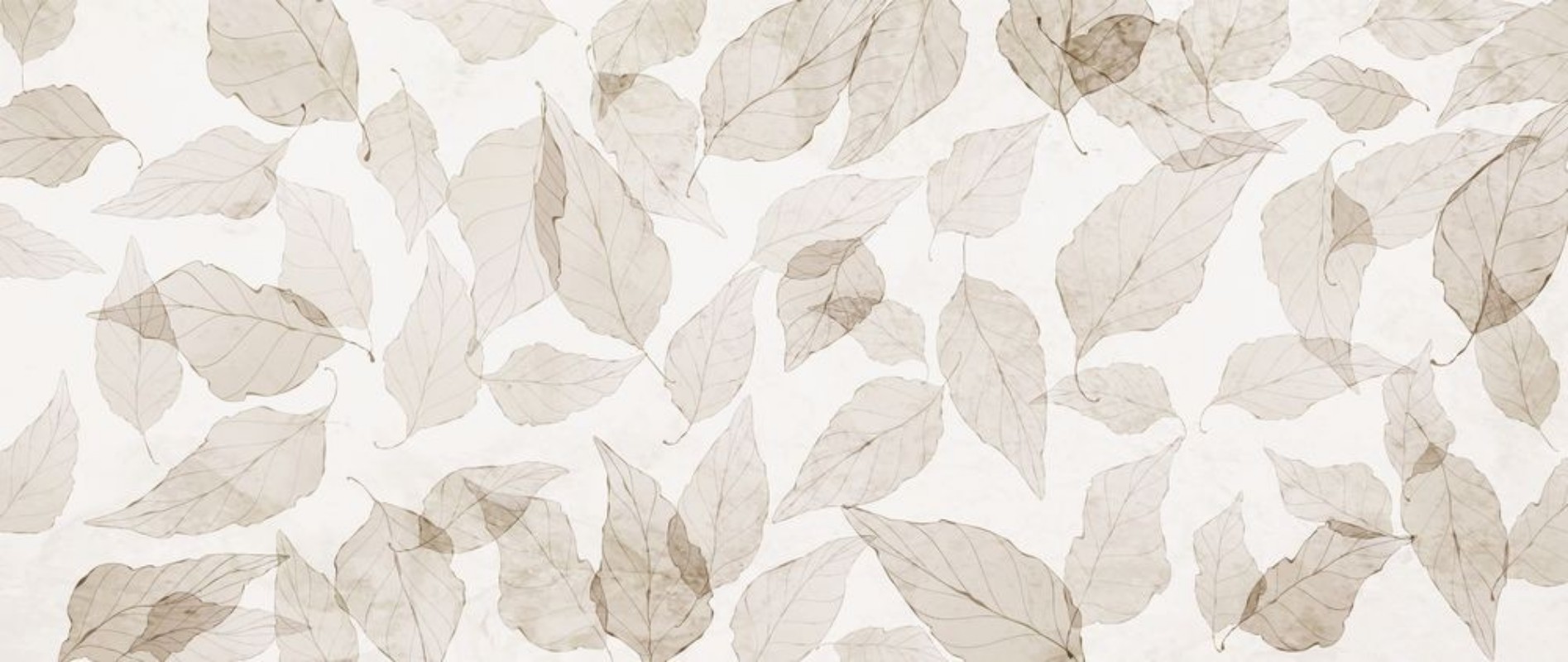 Image de Flying Leaves II