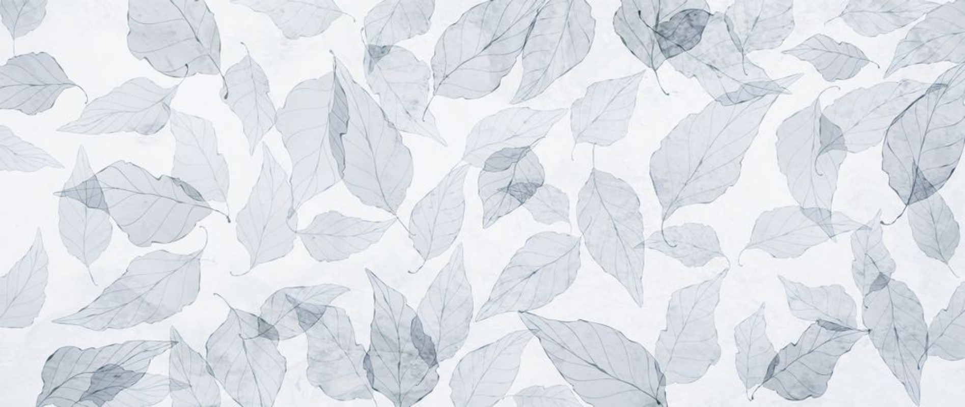 Picture of Flying Leaves I