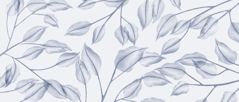 Image de Sketch of Leaves III