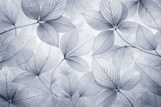Picture of Soft Leaves III