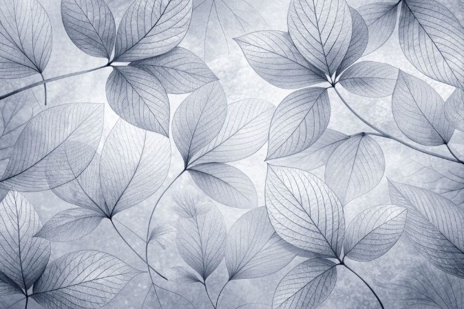 Picture of Soft Leaves III