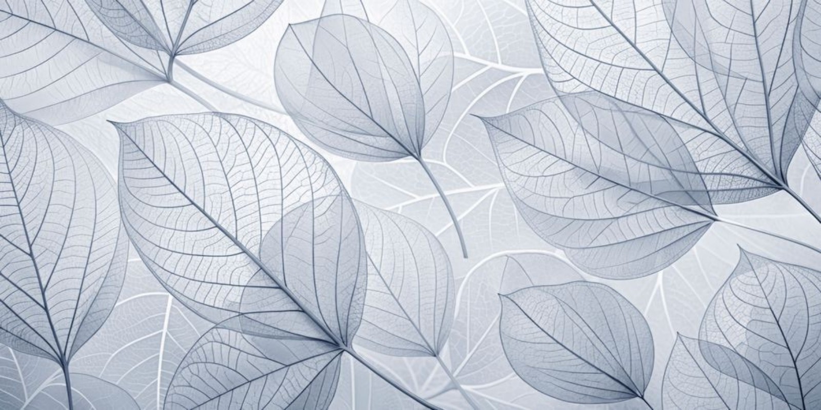 Bild på Bright Leaves III