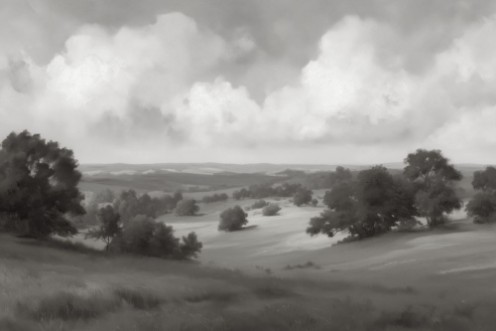 Picture of Meadow View III