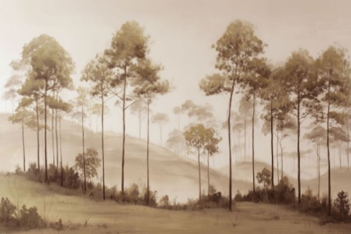 Image de Up North III