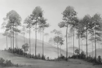 Afbeeldingen van Up North II