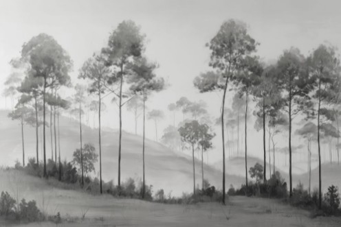 Picture of Up North II