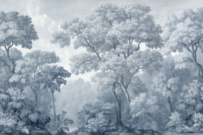 Picture of Dreamy Forest I