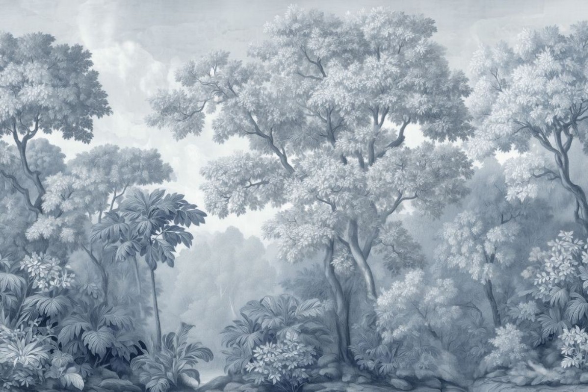 Image de Dreamy Forest I