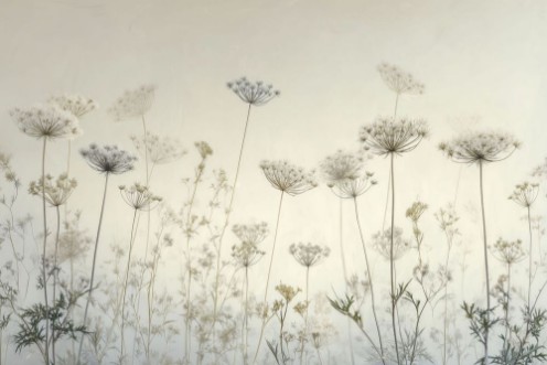 Image de Summer Memory II