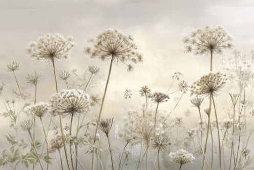 Image de Bright Light I