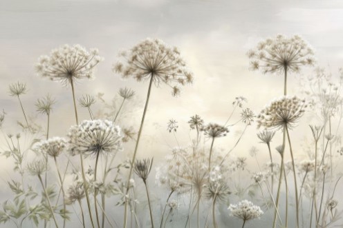 Image de Bright Light II