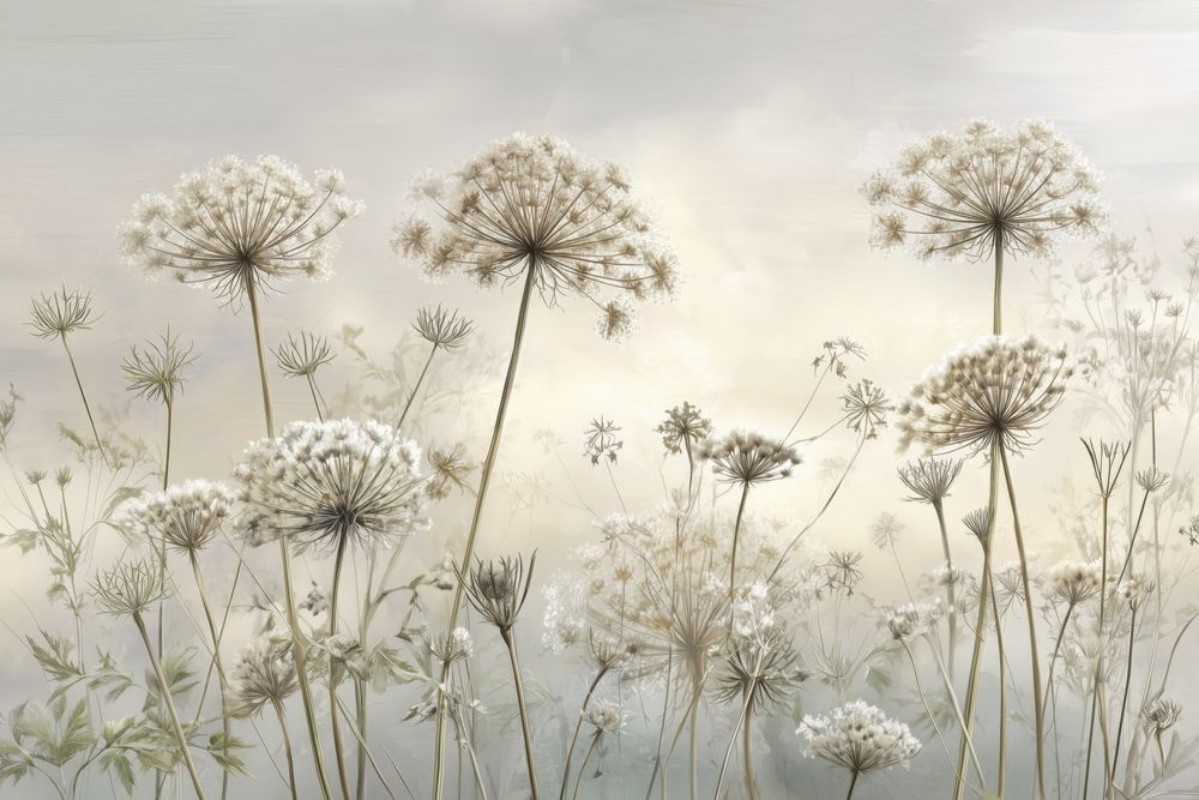 Image de Bright Light II