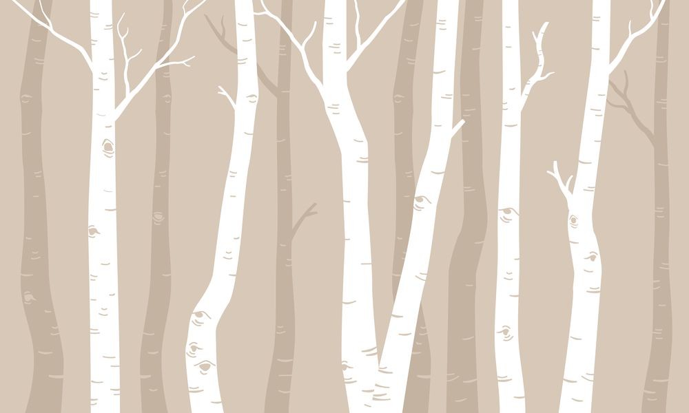 Picture of Graphic Birches III