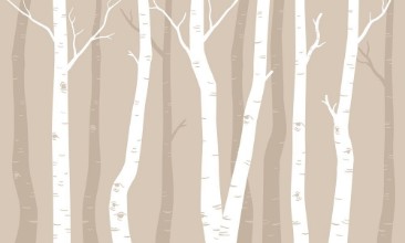 Bild von Graphic Birches III