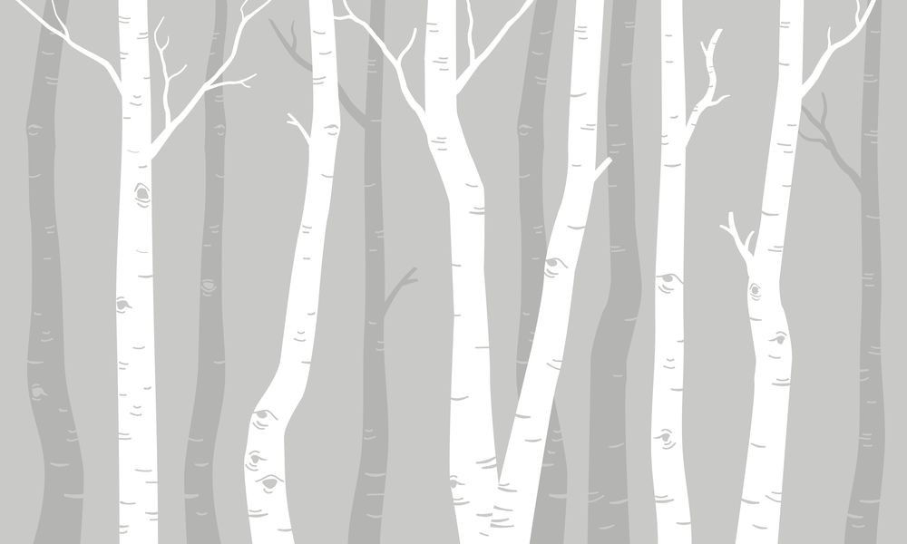 Picture of Graphic Birches I